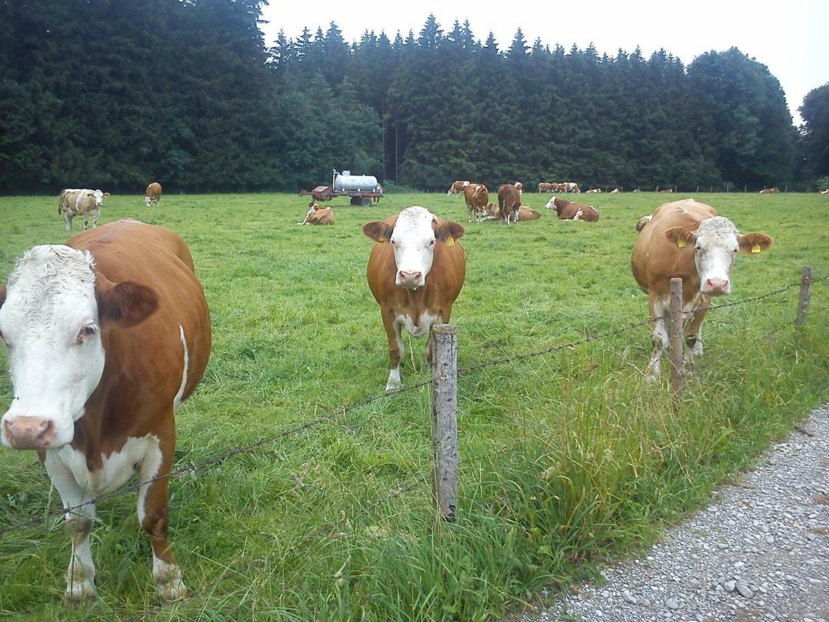Ferienwohnung Auf Dem Lechsberg Fuchstal エクステリア 写真